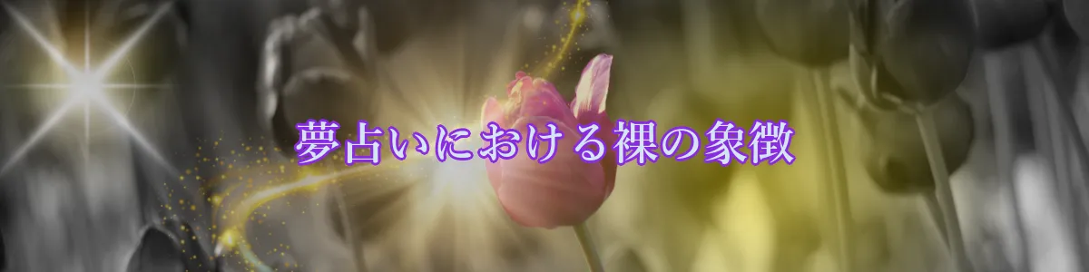 夢占いにおける裸の象徴