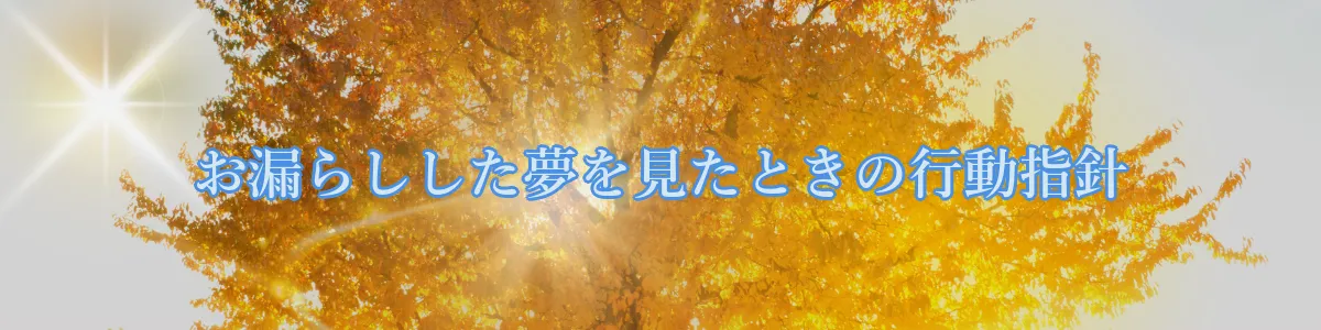 お漏らしした夢を見たときの行動指針